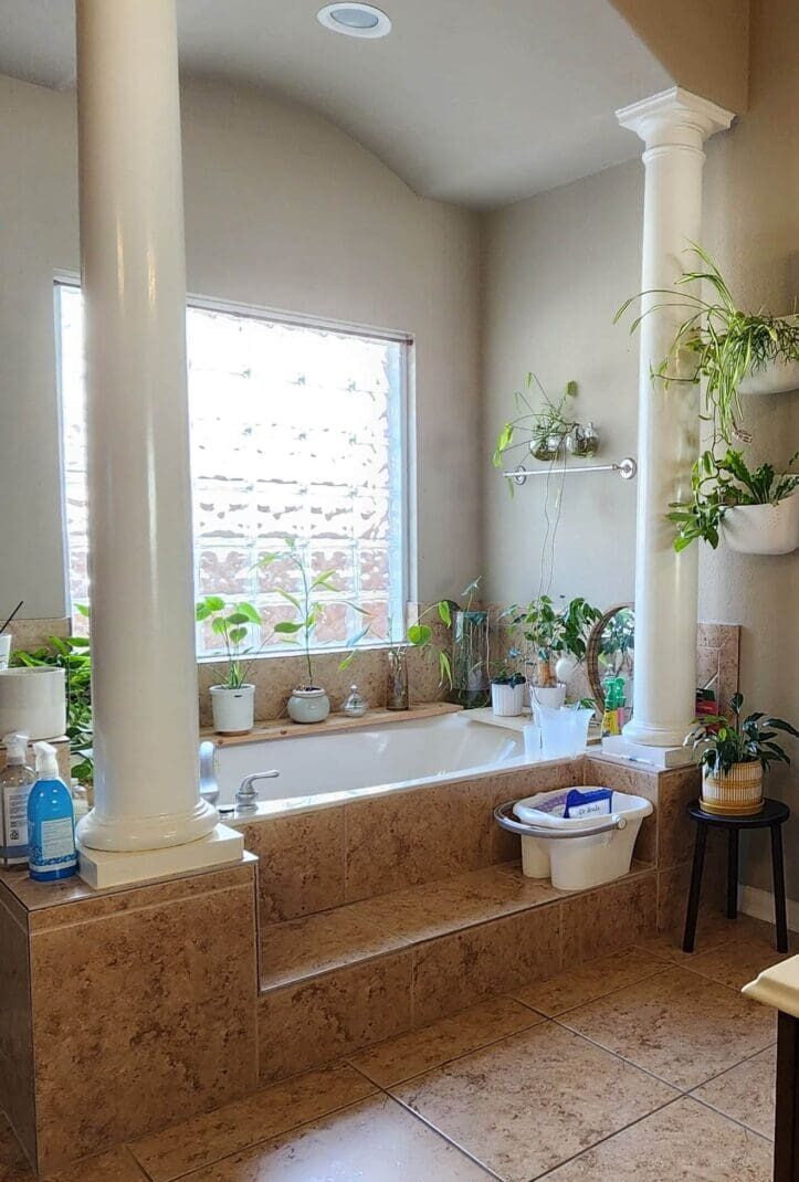 Luxurious bathroom with plants and large window.